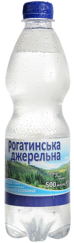 Вода мінеральна столова РОГАТИНСЬКА Джерельна сильногазована 0,5л